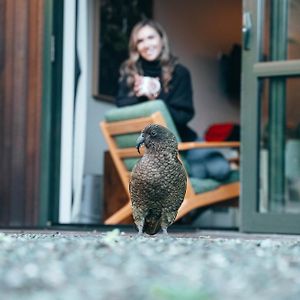 Milford Sound Lodge